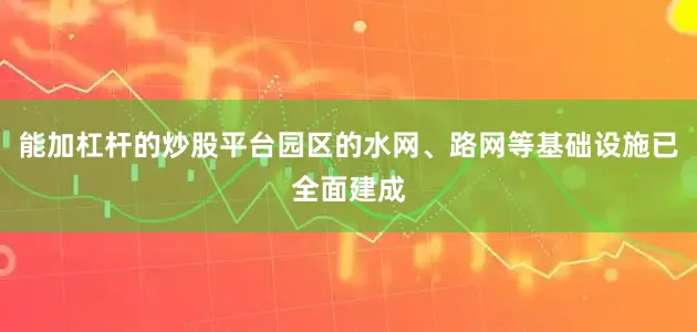 能加杠杆的炒股平台园区的水网、路网等基础设施已全面建成