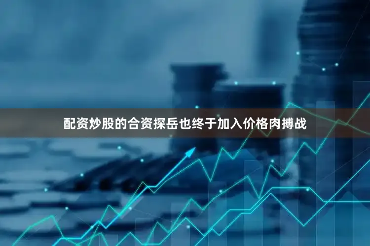 配资炒股的合资探岳也终于加入价格肉搏战