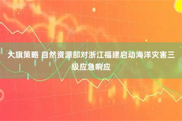 大旗策略 自然资源部对浙江福建启动海洋灾害三级应急响应