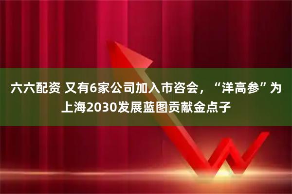 六六配资 又有6家公司加入市咨会，“洋高参”为上海2030发展蓝图贡献金点子