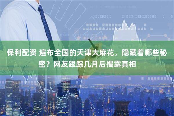 保利配资 遍布全国的天津大麻花，隐藏着哪些秘密？网友跟踪几月后揭露真相