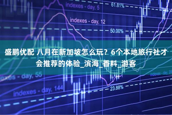 盛鹏优配 八月在新加坡怎么玩？6个本地旅行社才会推荐的体验_滨海_香料_游客