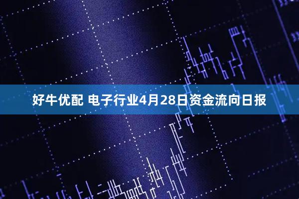 好牛优配 电子行业4月28日资金流向日报